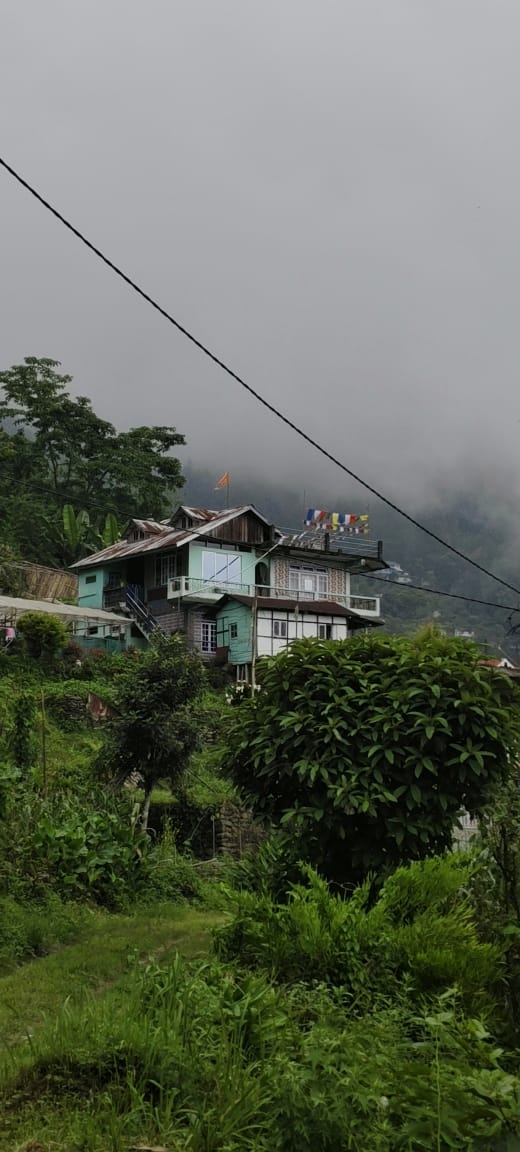 Saamiyanaa Cloud Nest